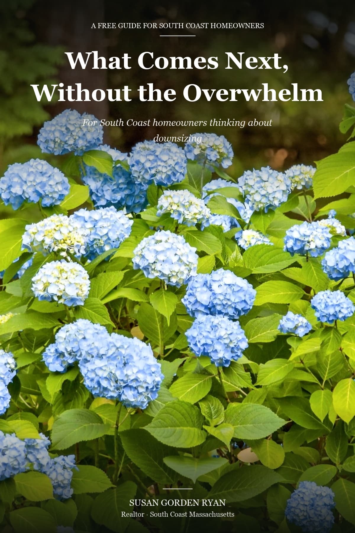 Cover of the guide What Comes Next, Without the Overwhelm, by Susan Gorden Ryan, over a photo of blue hydrangeas