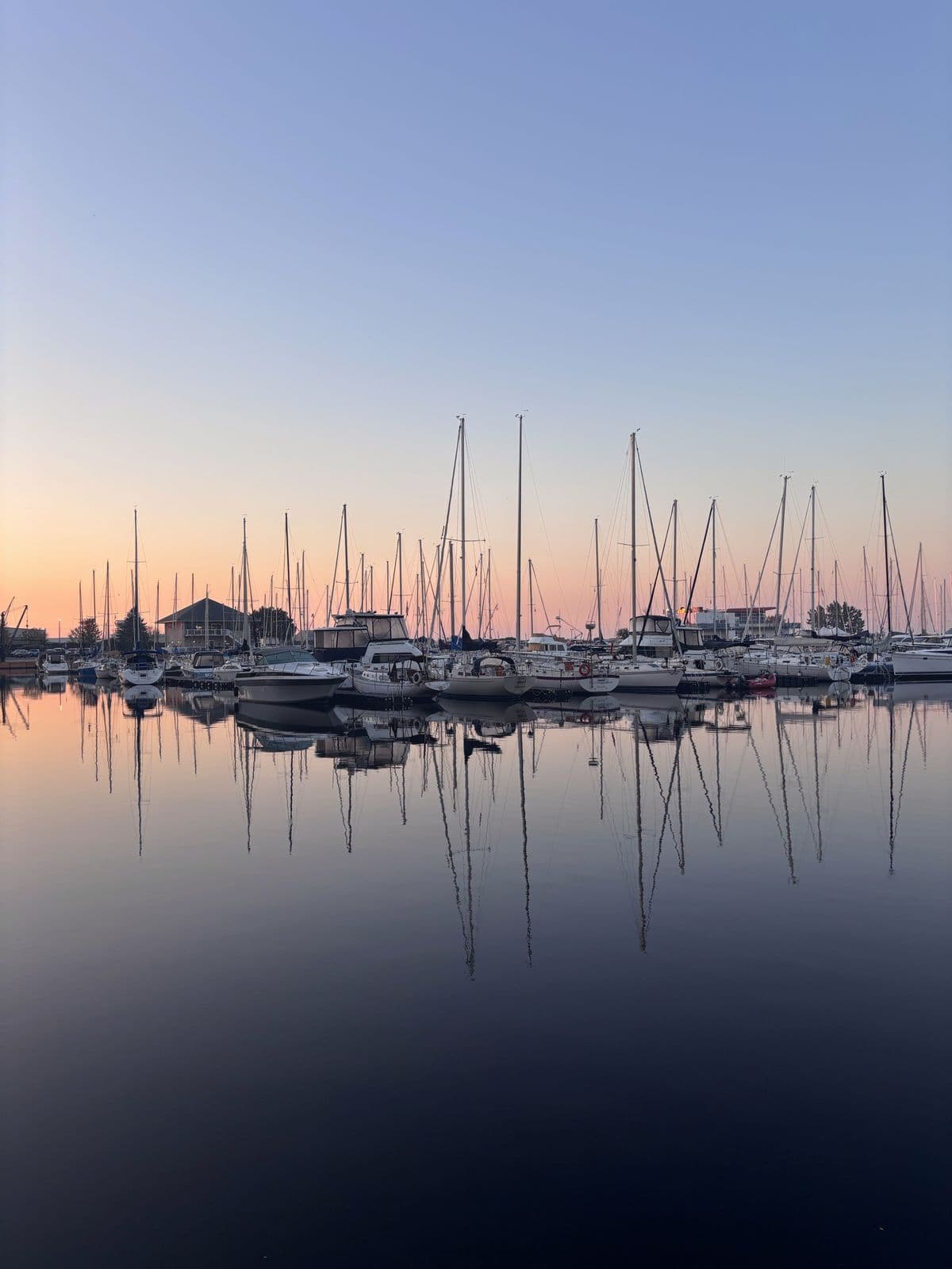 A calm marina at sunrise with sailboats and their masts reflected in still water, no people or structures in focus
